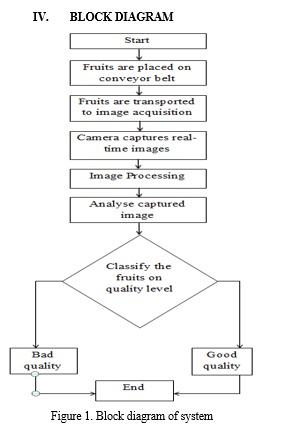 Automation of Fruit Sorting Process Using Conveyor Belt System